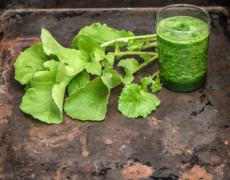 Healthy smoothy of fresh green radish leaves. Vegan food. Detox conceptの写真素材
