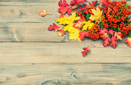 Red and yellow leaves on rustic wooden texture.の写真素材
