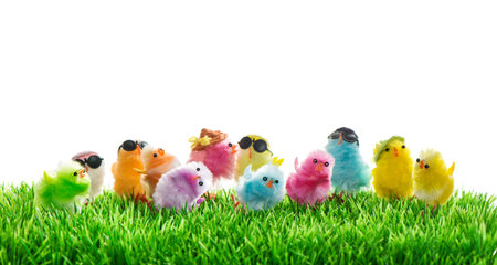 Easter chickens in green grass over white background