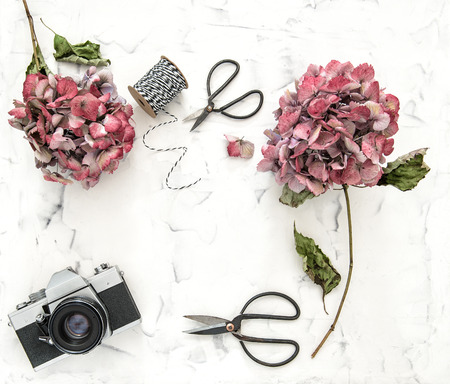Flat lay with hortensia flowers, vintage scissors and retro photo camera on white marble backgroundの写真素材