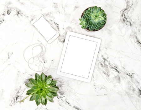 Tablet PC, succulent plants, phone on marble background. Office table. Flat lay mock up for social media blogの写真素材