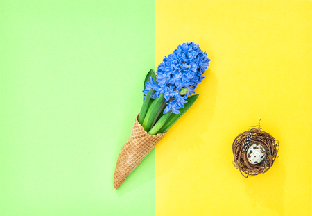 Hyacinth flowers in ice cream waffle cone with Easter egg on colorful background. Minimal flat layの写真素材