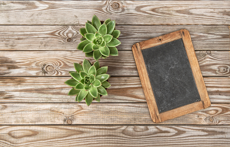 Succulent plants with vintage chalkboard on rustic wooden background. Floral flat layの写真素材