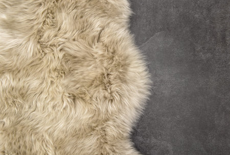 Sheep fur. Sheepskin rug background. Wool stone textureの写真素材