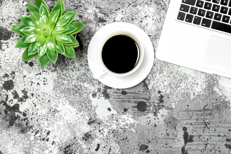 Workplace flat lay. Office table. Working place. Laptop, cup of coffee, succulent plantの写真素材