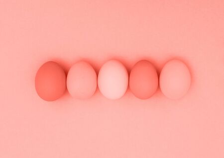 Easter eggs on coral red background. Colorful holidays bannerの写真素材