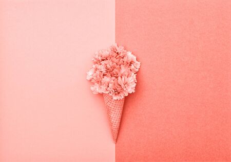 Cherry tree blossom in ice cream waffle cone on pink coral background. Styled flat layの写真素材
