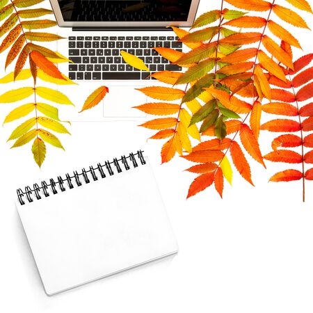 Flat lay. Office desk with sketch book. Autumn leaves and notebook on white backgroundの写真素材