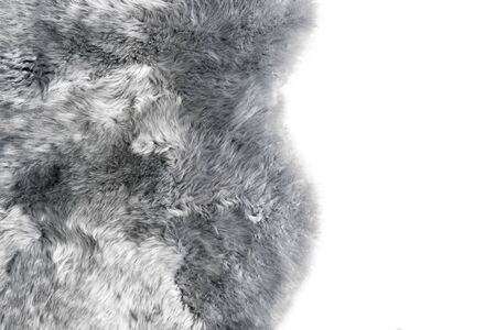Grey sheepskin rug background. Sheep fur textureの写真素材