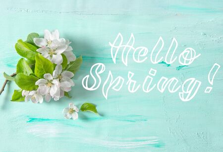 Hello spring! Apple tree blossom flowers on turquoise colored backgroundの写真素材
