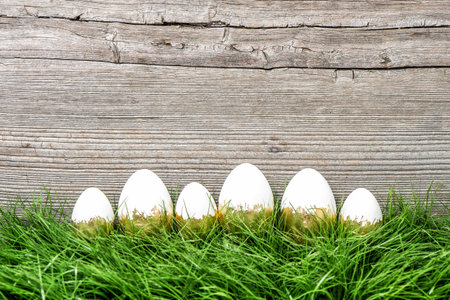 Easter decoration. Easter eggs in green grass