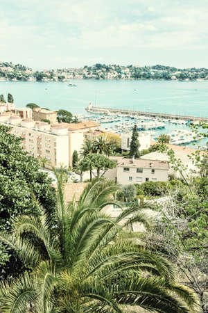 Herbs on white background. Basil, legend, thyme, lavender vintage tonedの写真素材