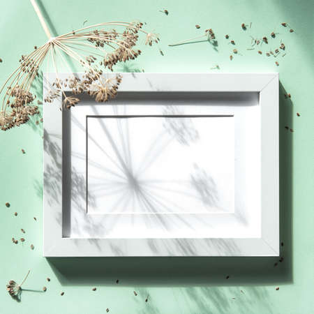 Floral flat lay with picture frame and dark plant shadowの写真素材