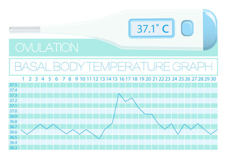 Graph Basal body temperature woman. Natural familly planning. Methods for determining ovulation day.