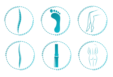 Icon set for orthopedist. Orthopedic logos. Illustration of the spine and joints. the human bodyのイラスト素材