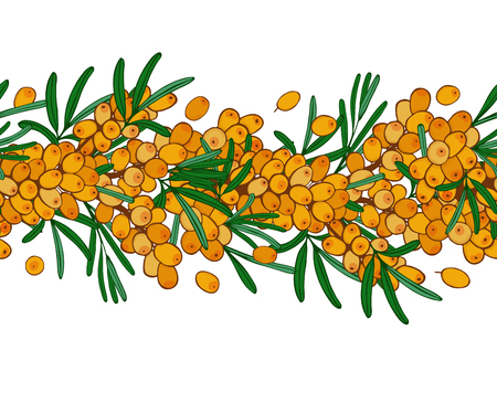 seamless ornament branch of sea buckthorn with berries. Vector illustration.のイラスト素材