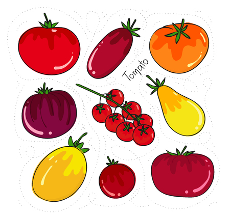 Tomatoes set of different shapes and colors. Yellow, red, pink tomato of varieties.のイラスト素材