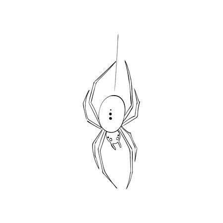 Spider is a symbol of phobias and horrors. Design for Halloween. Isolated, cartoon styleのイラスト素材