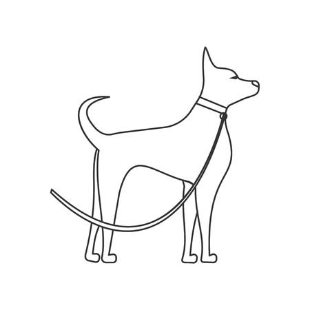 dog side view linear illustration. Pets and grooming. puppy on a leashのイラスト素材