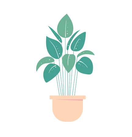 houseplant in pot. Isolated flowerpot . Home exotic plant. Vector illustrationのイラスト素材