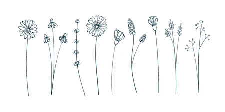 set with spring branches and flowers. Isolated vector elements for designのイラスト素材