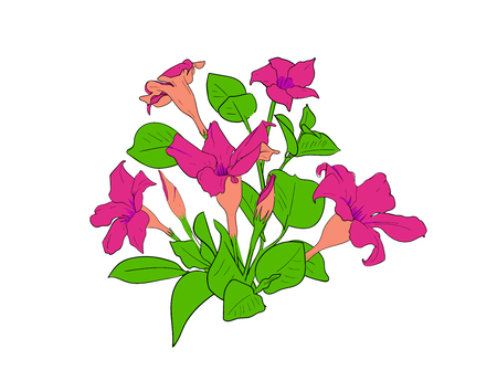 Pink flower bouquet. Floral isolated element. Floristics decorのイラスト素材