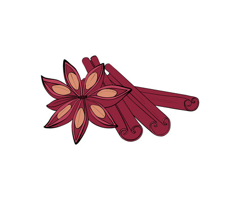 Cinnamon stick and fruit. Isolated Spices for baking. Vectorのイラスト素材