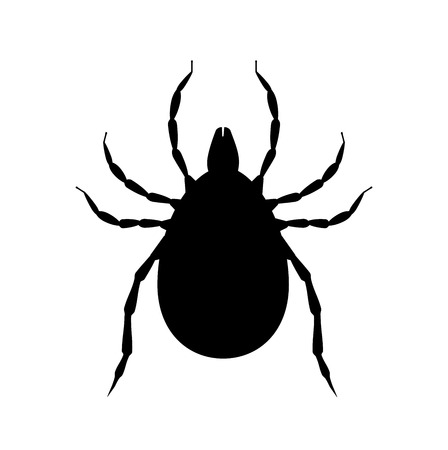 Mite black silhouette. Pest insect symbol. Insecticide icon. Bloodsucking bugのイラスト素材