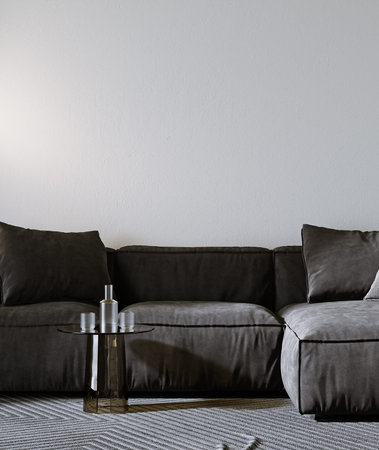 modern living room interior with black sofa, white empty wall mock up, scandinavian style, 3d renderingの写真素材