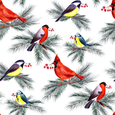 Winter Seamless pattern with Birds.の写真素材