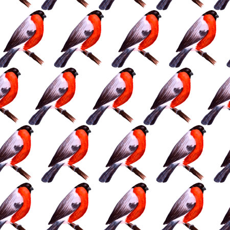 Watercolor seamless pattern with bullfinch birds on twigsの写真素材