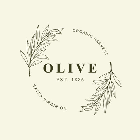 Elegant Logo template with olive branch - simple linear styleのイラスト素材