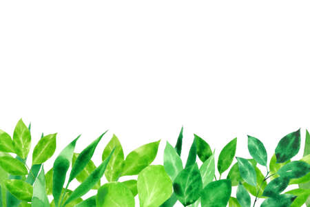 Greenery watercolor background with place for text.の写真素材