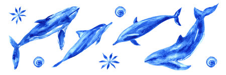 Watercolor set of ocean animals. Blue watercolor whale, dolphin, shellの写真素材