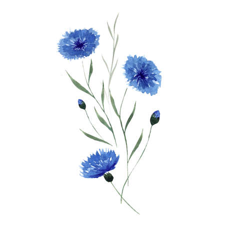 Wildflowers. Watercolor bouquet. Decoration for your design.の写真素材