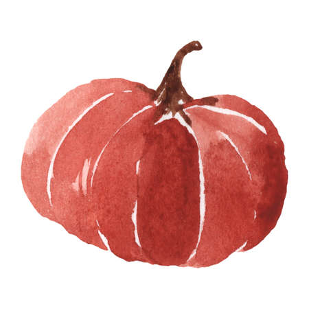 Watercolor Pumpkin isolated on white. Autumn decoration element for design.の写真素材