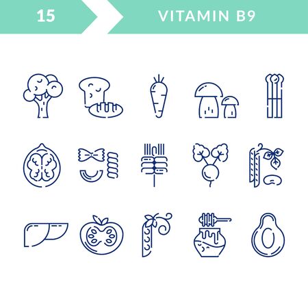 Vitamin B9 folic acid , which is naturally found in foods legumes, asparagus, tomato, papaya, mushrooms, beets, liver, broccoli. Set of icons in linear style.のイラスト素材