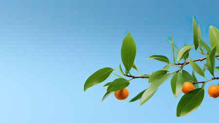 an orange tree branch with vibrant green leaves set against a clear blue sky, capturing the essence of nature's beauty in a minimalist compositionの素材