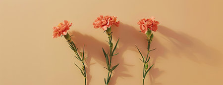 Carnation flowers against a clean, light peach background, offering ample copy space for text, in a top-down view, with soft tones that exude sophisticationの素材