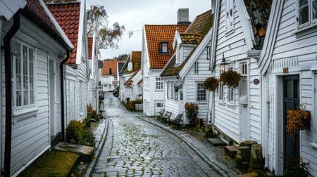 the quaint streets of its historical center, admiring the elegant white houses that epitomize Norway's cultural heritageの素材