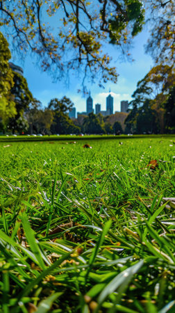 a green grass field in the park, with the city skyline in the background, under a clear blue sky on a summer day, using a wide-angle lens to emphasize the vastness of the scene.の素材