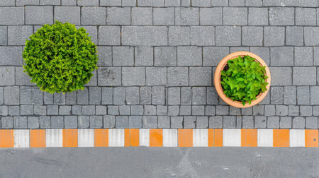 A modern building entrance with a large gray door and a palm tree potted in a black container.の素材