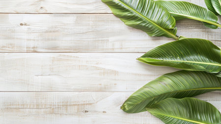 Green leaves of various shapes and sizes are arranged around the edges of a wooden surface. The leaves are all facing inwards towards the center of the image.の素材