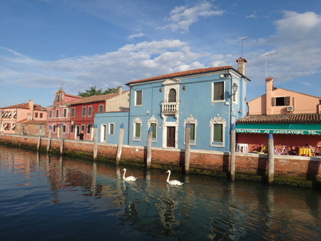 House with ducksの写真素材