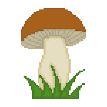 Mushroom isolated on white backgroundのイラスト素材