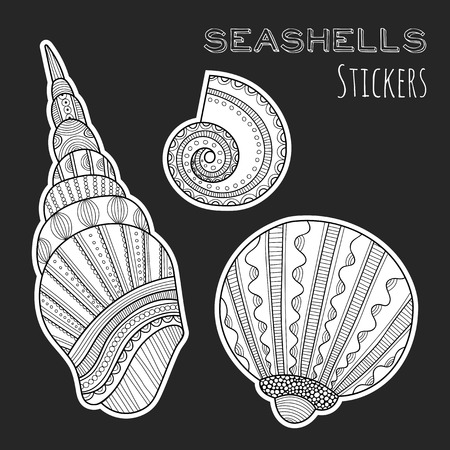 Black and white shell. Stickers isolated on black background. Sea. Marine life. Vector illustrationのイラスト素材