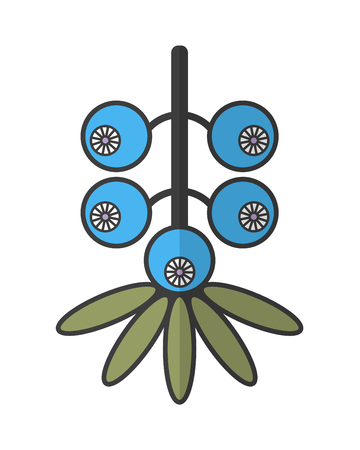 Flat color icon. Berry and fruit object. Vector illustrationのイラスト素材