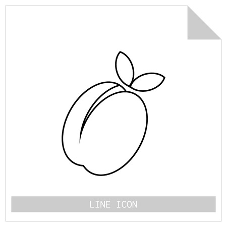 Apricot, peach. Flat linear icon of fruit. Vector illustrationのイラスト素材
