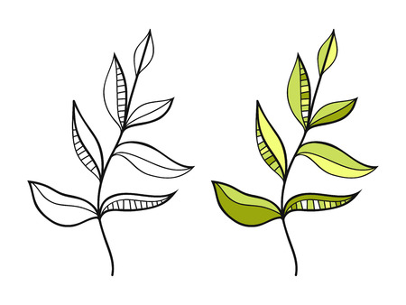 Leaf. Black and white illustration for coloring book. Doodle object.のイラスト素材