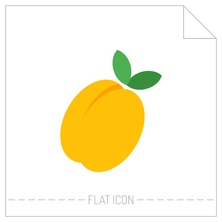 Flat icon of peach, apricot. Digital object of fruit isolated on white background. Vector illustrationのイラスト素材